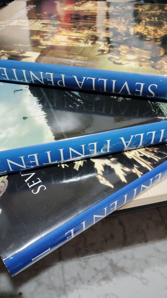 LIBROS SEVILLA PENITENTE