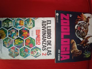 Lote de dos álbumes vintage