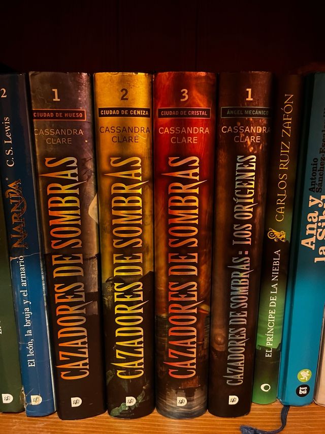 Saga cazadores de sombra