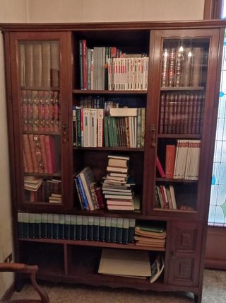 libreria legno pregiato