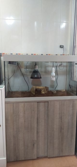 Terrario para reptiles-tortugas y lámpara de calor