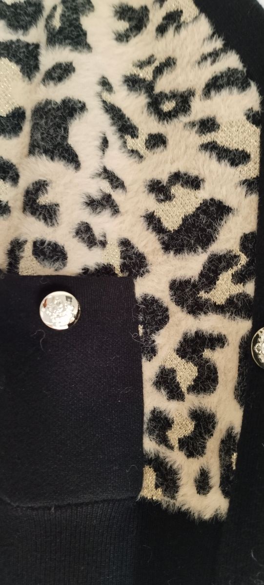 Lote chaqueta Morgan 