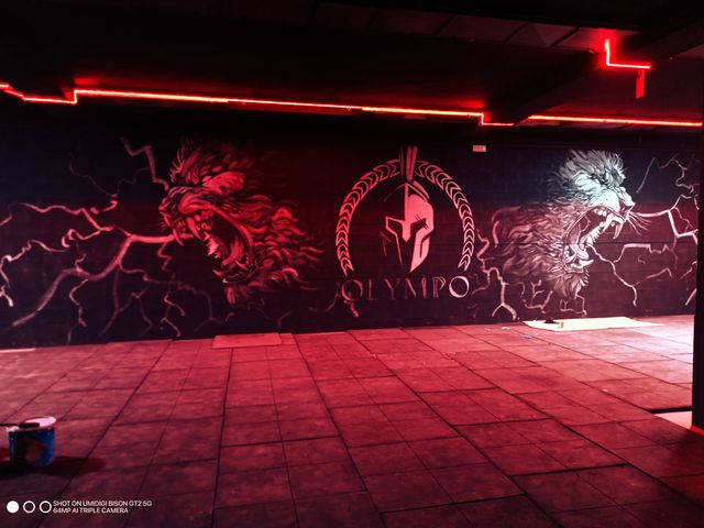 GRAFITERO graffiti mural pintura mural pintor arte