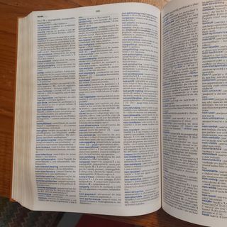 Dizionario italiano inglese