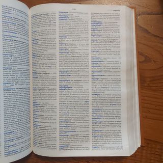 Dizionario italiano inglese