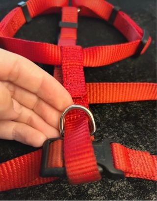 Pettorina rossa per cane Hunter