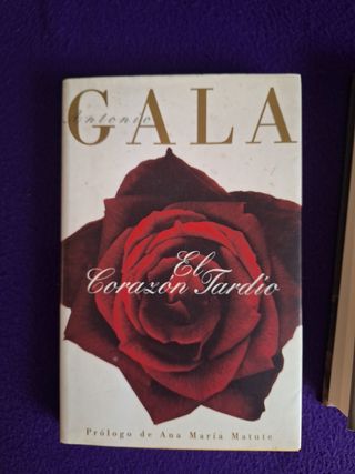 Corazon tardio (b.gala) (Spanish Edition)