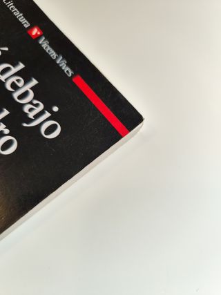 Eloisa Esta Debajo de un Almendro / Eloisa is Under the Almond Tree (Aula de Literatura)