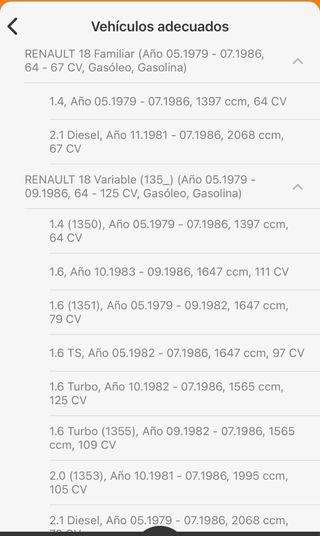 Amortiguadores traseros Renault 18 y Fuego