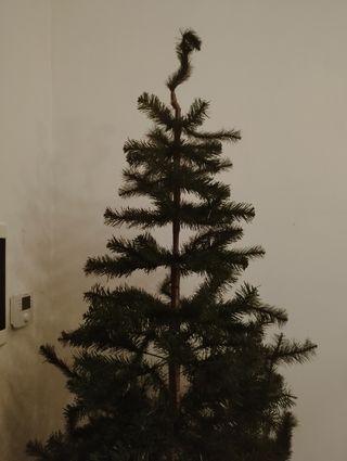 Albero di Natale