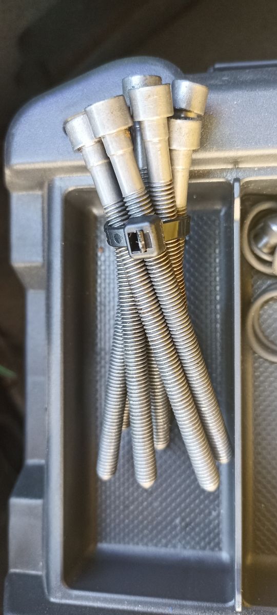 Tornillos inyectores 2.0 tdi