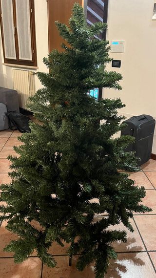 Albero di natale