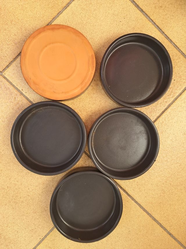 Lote 5 Platos cerámica