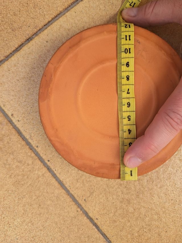 Lote 5 Platos cerámica