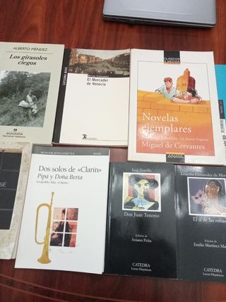 Libros Literatura Castellana para Secundaria
