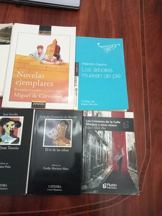 Libros Literatura Castellana para Secundaria