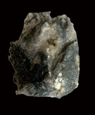 AGATA MUSCHIATA - Minerale da collezione