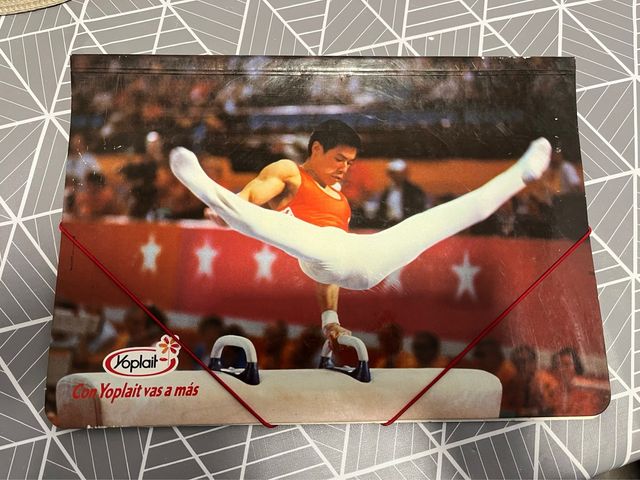 Carpeta yoplait