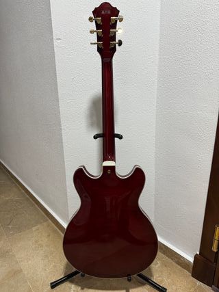 Guitarra Ibanez EKM10T 01