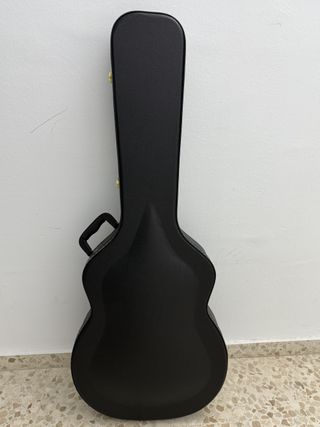 Guitarra Ibanez EKM10T 01
