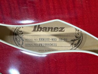 Guitarra Ibanez EKM10T 01