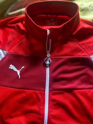Chaqueta Puma 