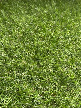 Cesped artificial