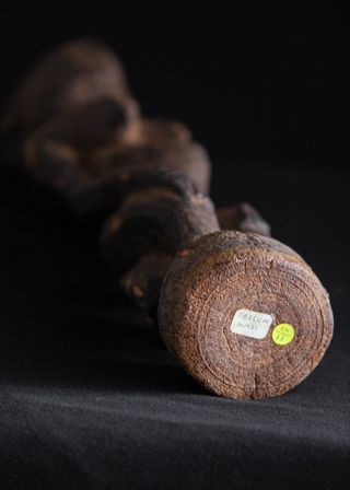 Escultura Dogón Tellem antigua con certificado.