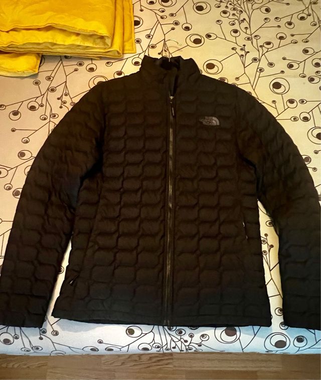 Cazadora Thenorthface