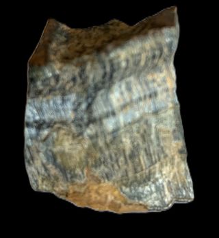 OCCHIO DI FALCO - Minerale da collezione