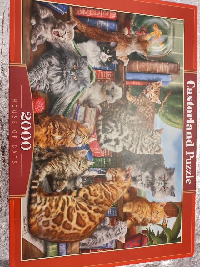 Puzzle gatos