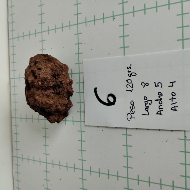 Piedras volcánicas para acuario terrario