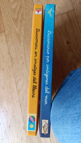Diccionario imágenes. Libros infantiles