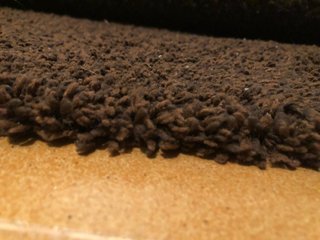 Alfombra
