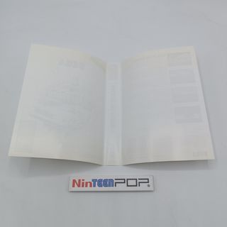 Back to the Future II Sega Master System