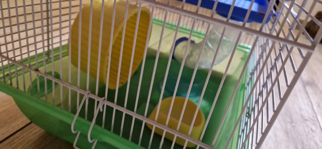Gabbie per criceti