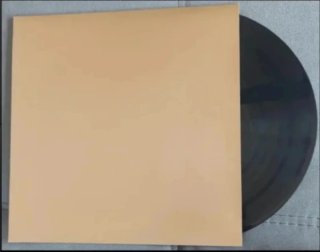 30 Fundas para Vinilos 12" Lp