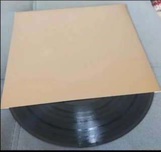 30 Fundas para Vinilos 12" Lp