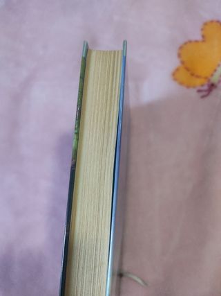 La ciudad de las bestias (serie infinita) (Spanish Edition)