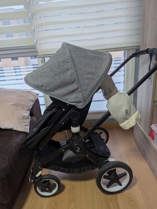 Bugaboo fox