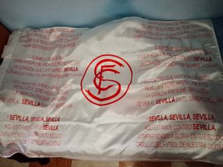 Dos banderas de Sevilla f.c