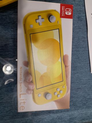 Nintendo switch lite