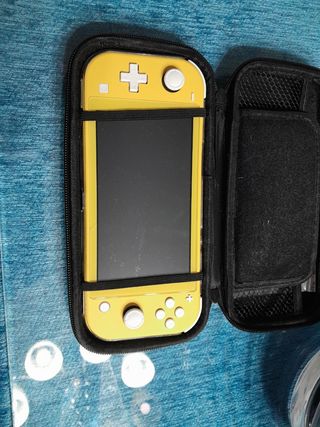 Nintendo switch lite