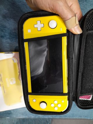 Nintendo switch lite