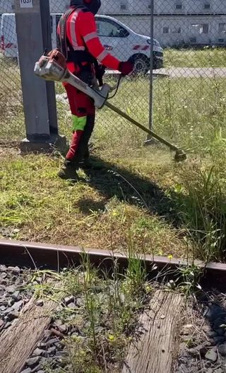 Jardinero económico 
