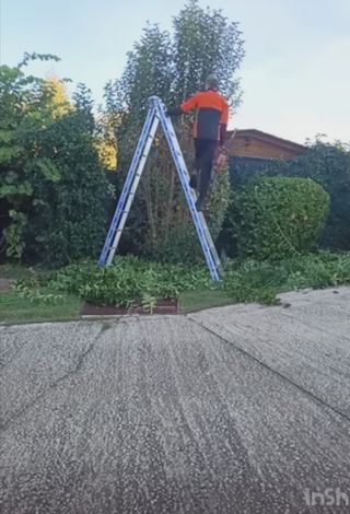 Jardinero económico