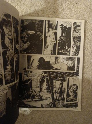 La espada salvaje de Conan Tomo 20