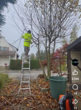 Jardinero económico