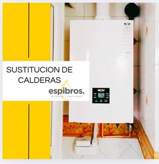 REFORMAS PROFESIONALES