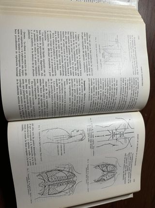 Patología general. Medicina. 